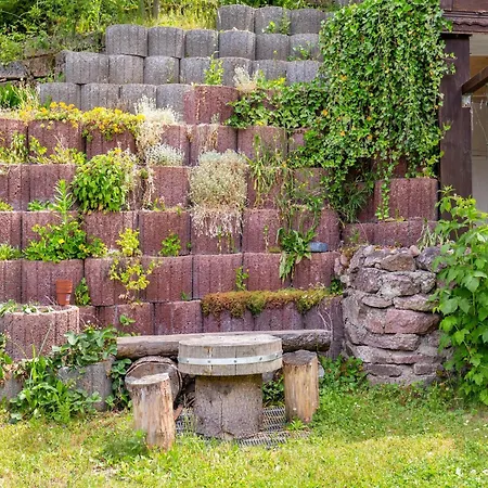 Ruhige Gartenwohnung In Dresden, Cleaning Included